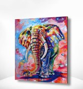 Painting Expert® Schilderen op nummer Volwassenen - Schilderen op nummer Kinderen - Olifant met Vrolijke Kleuren - 40x50cm - Exclusief Lijst (24 kleurtjes)