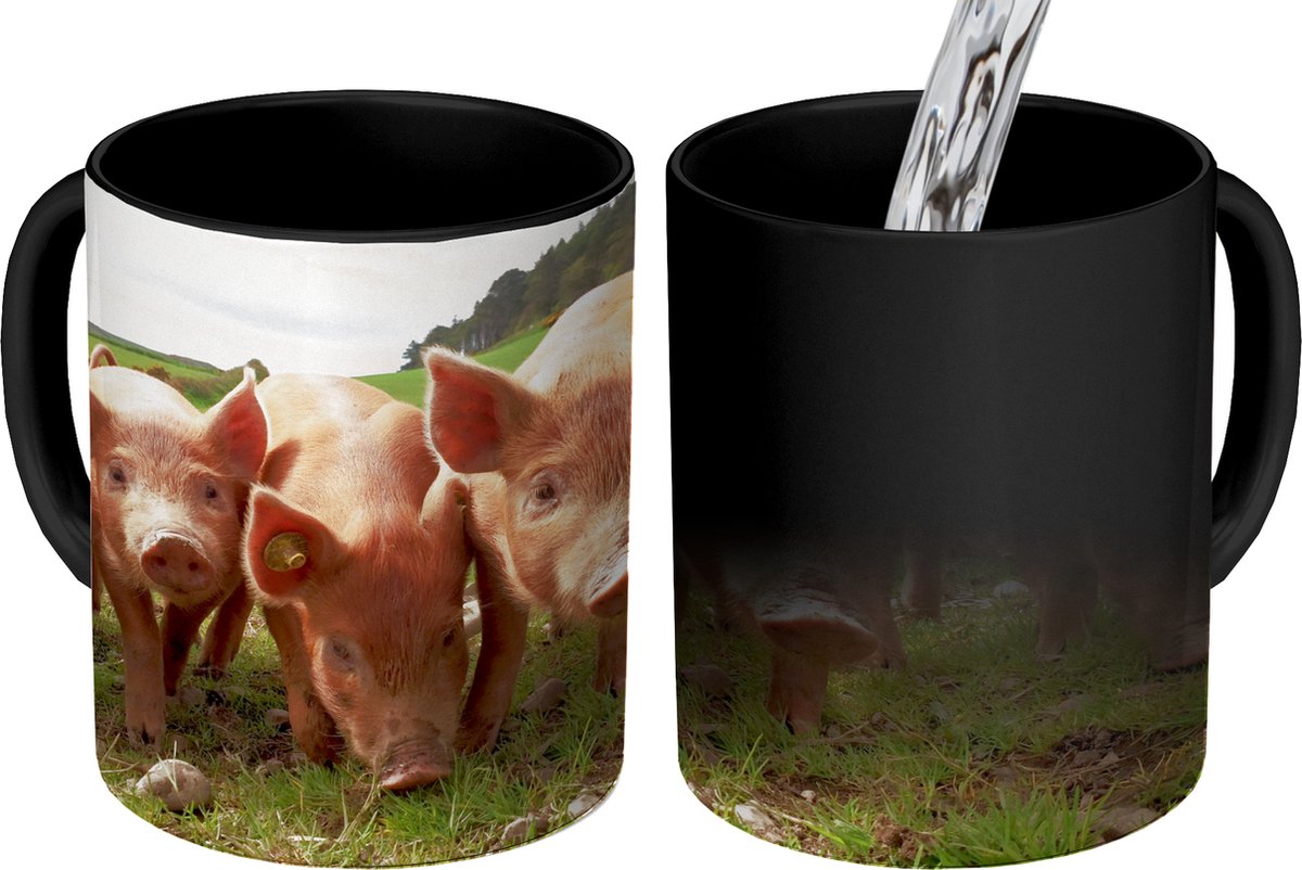 Magische Mok - Foto op Warmte Mokken - Koffiemok - Varkens - Big - Dieren - Magic Mok - Beker - 350 ML - Theemok