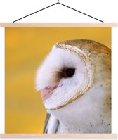 Porte-affiche avec affiche - Affiche scolaire - Hibou - Jaune - Animal - 60x60 cm - lattes vierges