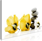 Schilderijen Op Canvas - Schilderij - Calm Mallow (1 Part) Narrow Yellow 120x40 - Artgeist Schilderij