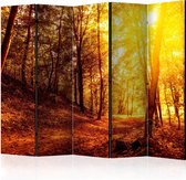 Kamerscherm - Scheidingswand - Vouwscherm - Autumn Walk II [Room Dividers] 225x172 - Artgeist Vouwscherm