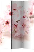 Kamerscherm - Scheidingswand - Vouwscherm - Cherry Blossom [Room Dividers] 135x172 - Artgeist Vouwscherm