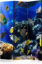 Kamerscherm - Scheidingswand - Vouwscherm - Underwater adventure [Room Dividers] 135x172 - Artgeist Vouwscherm