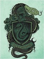 Schilderij - Canvas Slytherin - Multicolor - 80 X 60 Cm Harry Potter - Canvas 60x80 '18mm' - Slytherin