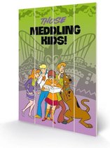 SCOOBY DOO - Houten wandbord 40X59 - Meddling Kids