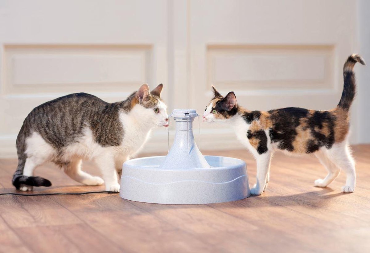 PetSafe