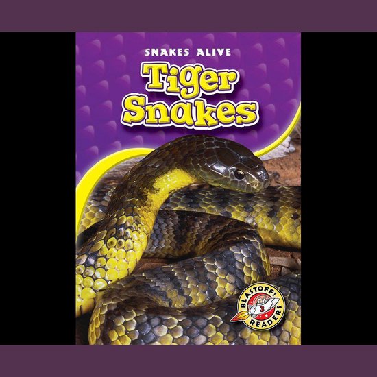 Tiger Snakes