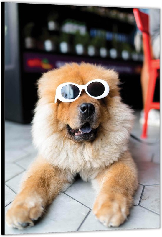 Dibond -Grappige Hond met Witte Zonnebril- Foto op Aluminium (met ophang)