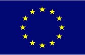 Vlag Europese Unie (sterren)