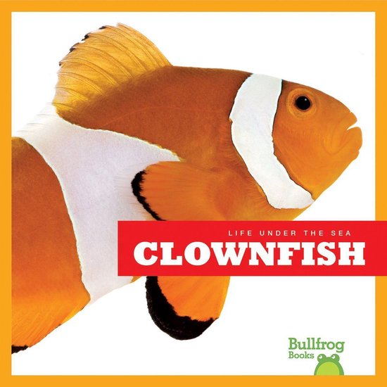 Clownfish - cover