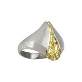 Rivier van goud, Zilveren ring 19mm