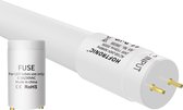 LED T8 TL buis 150 cm 24 Watt 2640lm 3000K Flikkervrij incl. starter