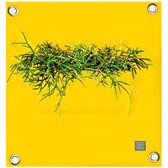 Plantenbak Blooming Walls The Green Pockets AMMA1 - Yellow