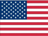 10x Binnen en buiten stickers USA/Amerika 10 cm - Amerikaanse vlag stickers - Supporter feestartikelen - Landen decoratie en versieringen