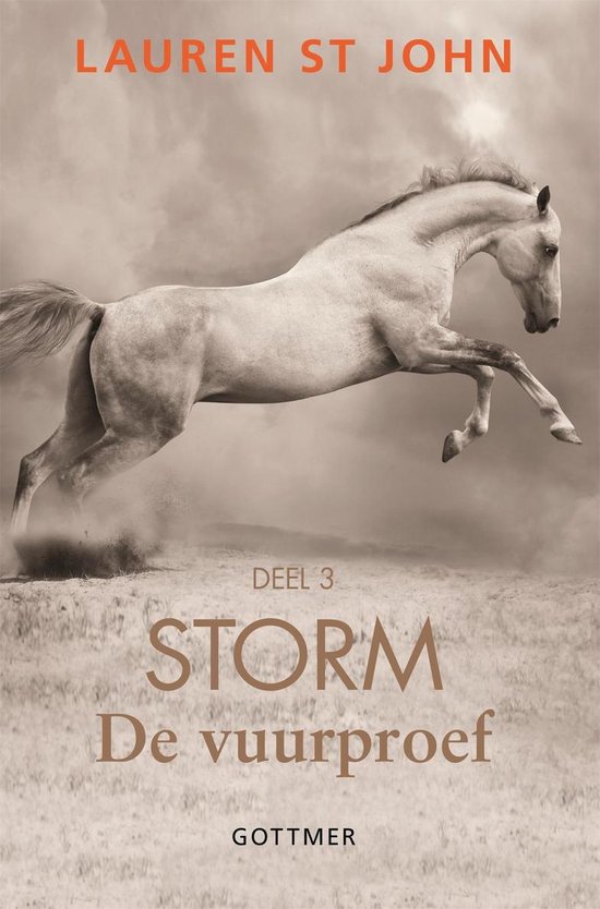 Storm 3 - De vuurproef - cover