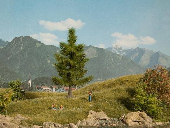 Foto: 