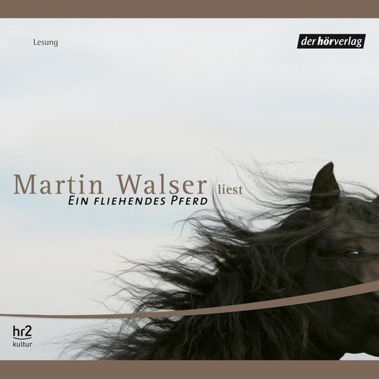 Ein fliehendes Pferd - cover