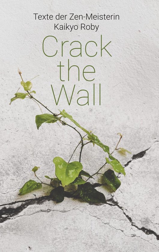 Crack the Wall - cover