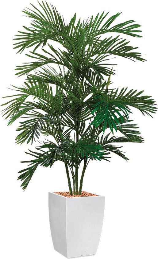 HTT - Kunstplant Areca palm in Genesis vierkant wit H170 cm
