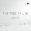 Daniel Taylor - Tree Of Life