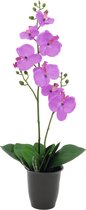 Europalms orchidee kunstplant, paars, 57cm