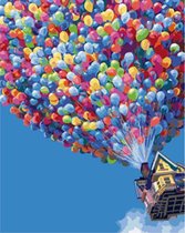 Schilderen op nummer Volwassenen Ballonen huis - 50x40 cm - SEOS Shop ®