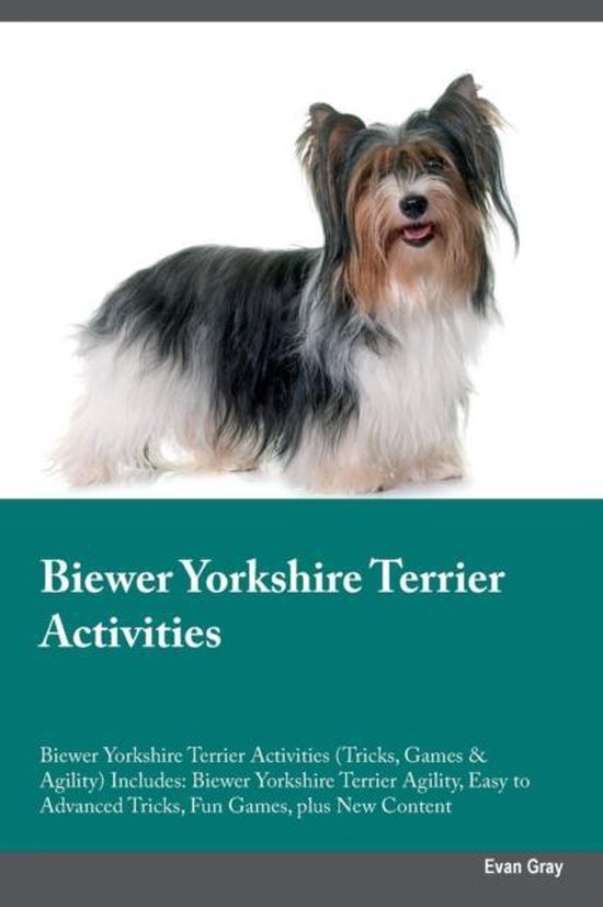 Biewer Yorkshire Terrier Activities Biewer Yorkshire Terrier Activities
