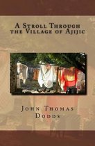 A Stroll Through the Village of Ajijic