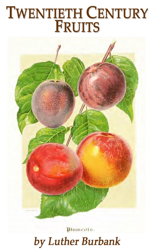 Twentieth Century Fruits - cover