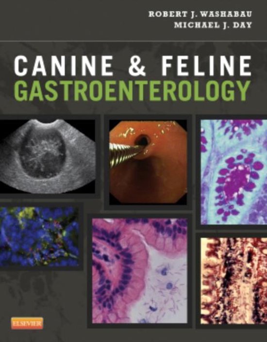 Canine & Feline Gastroenterology - cover
