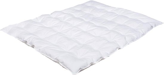 Träumeland DAUNENTRAUM dekbed 100 x 135 cm | bol
