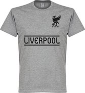 Liverpool Team T-Shirt - Grijs - Kinderen - 12 Years