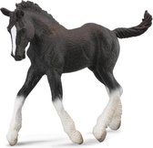 Collecta Paarden: Shire Veulen 11 Cm Zwart