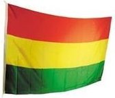 Vlag Carnaval Limburg rood/geel/groen 70x100cm