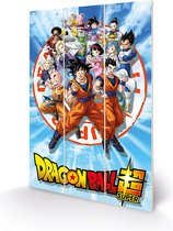 Dragon Ball Super - Goku And The Z Fighters Wood Print 20 X 29.5 cm