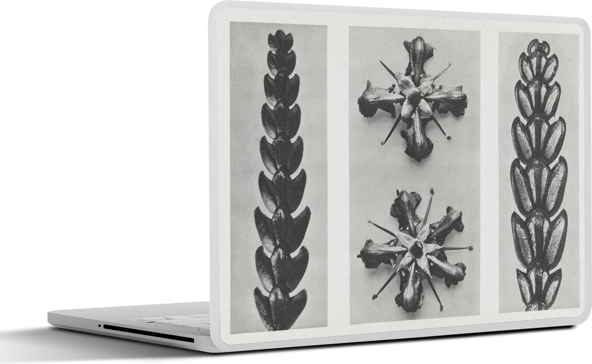 Afbeelding van product SleevesAndCases  Laptop sticker - 13.3 inch - Plant - Vintage - Botanica