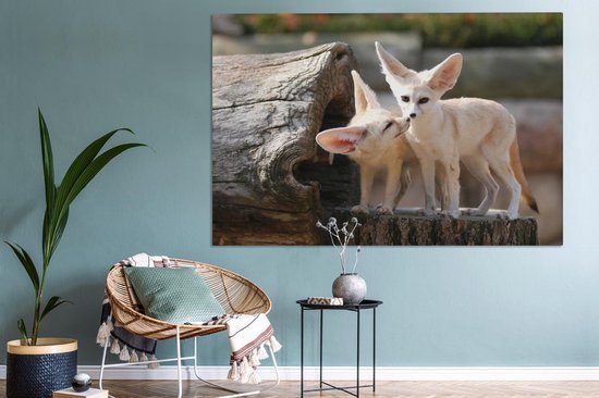 Deux adorables renards Fennec sur un tronc d'arbre Toile 180x120 cm - Tirage photo sur Toile (Décoration murale salon / chambre) / Animaux sauvages Peintures sur toile XXL / Groot format!
