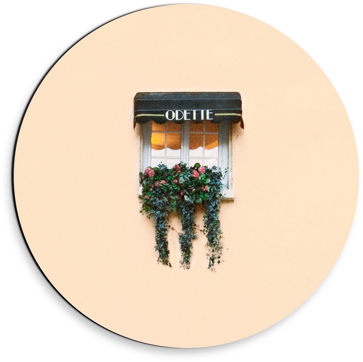 KuijsFotoprint Dibond Wandcirkel - Raampje met Plantjes op Lichtroze Achtergrond - 30x30cm Foto op Aluminium Wandcirkel (met ophangsysteem) Groen