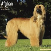 Afghan - Afghanen 2022