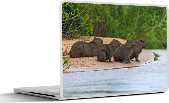 Sticker pour ordinateur portable - 10,1 pouces - Quatre Capybaras assis sur un banc de sable au Pantanal