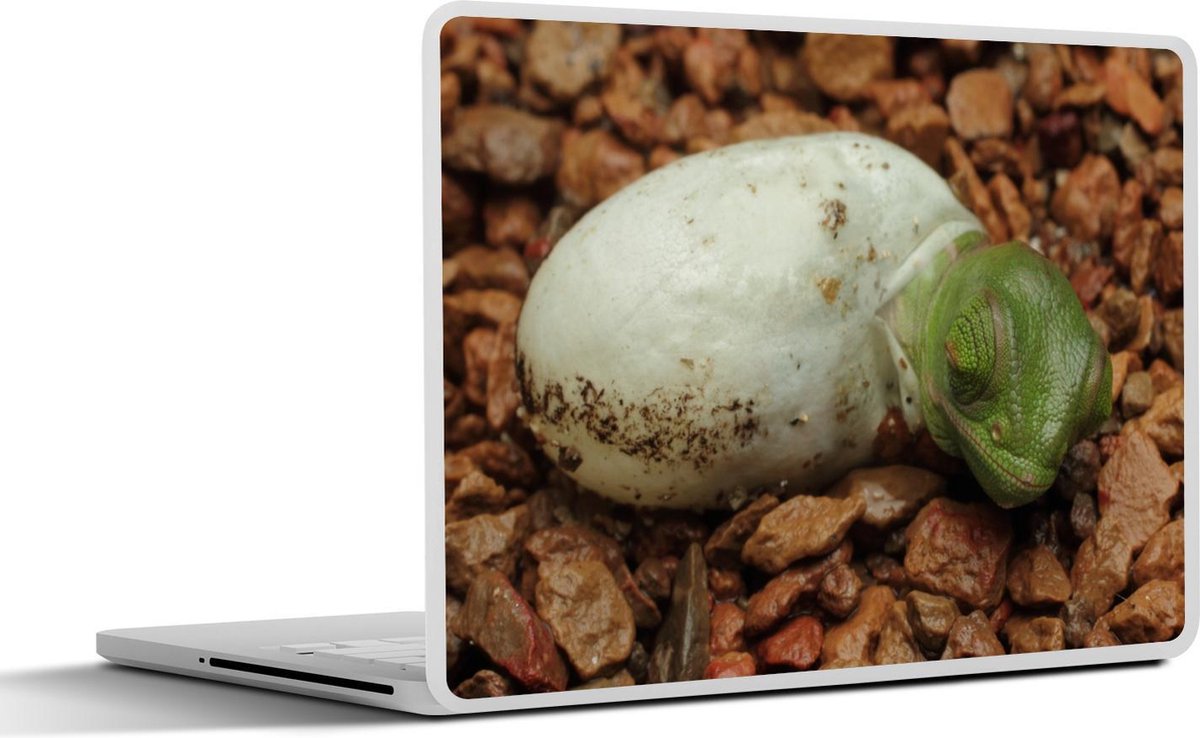 Laptop sticker - 14 inch - Dier - Kameleon - Ei - 32x5x23x5cm - Laptopstickers - Laptop skin - Cover