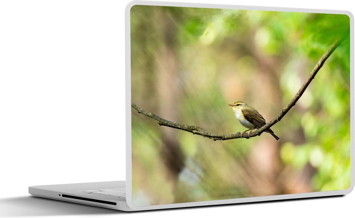 Afbeelding van product SleevesAndCases  Laptop sticker - 12.3 inch - Fitis op hangende tak