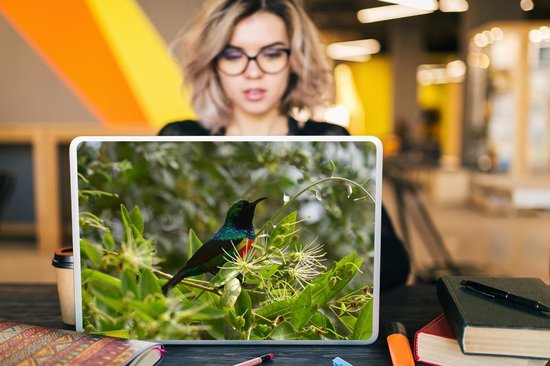 Autocollant pour ordinateur portable - 17,3 pouces - Vogel parmi les feuilles dans la jungle - 40x30cm - Autocollants pour ordinateur portable - Peau pour ordinateur portable - Couverture