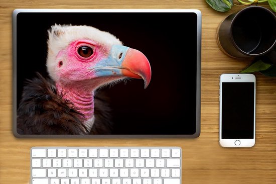 Sticker pour ordinateur portable - 15,6 pouces - Vautour - Vogel - Bec