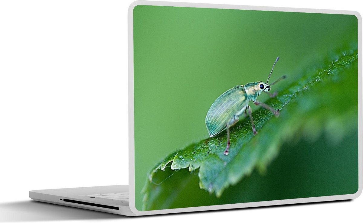 Afbeelding van product SleevesAndCases  Laptop sticker - 15.6 inch - Insect op blad