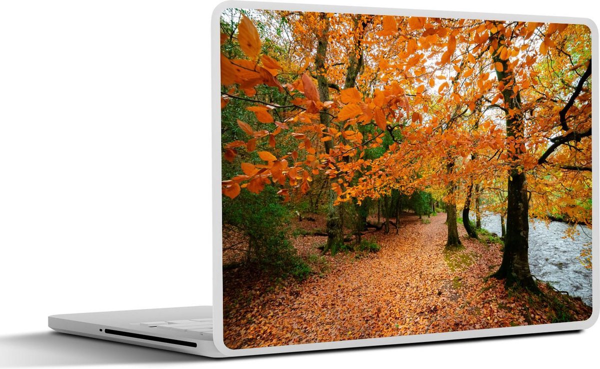 Afbeelding van product SleevesAndCases  Laptop sticker - 15.6 inch - De herfstbossen in het Nationaal park Dartmoor in Engeland