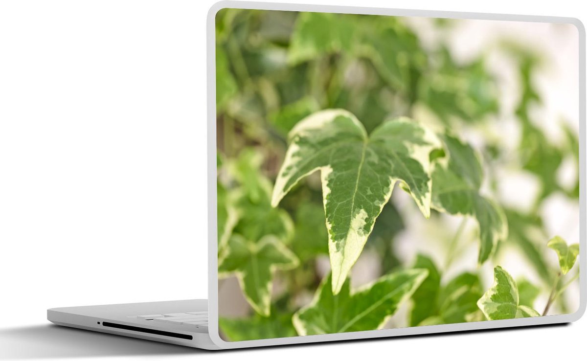 Afbeelding van product SleevesAndCases  Laptop sticker - 13.3 inch - Verschillende kleuren in het blad van de Hedera plant