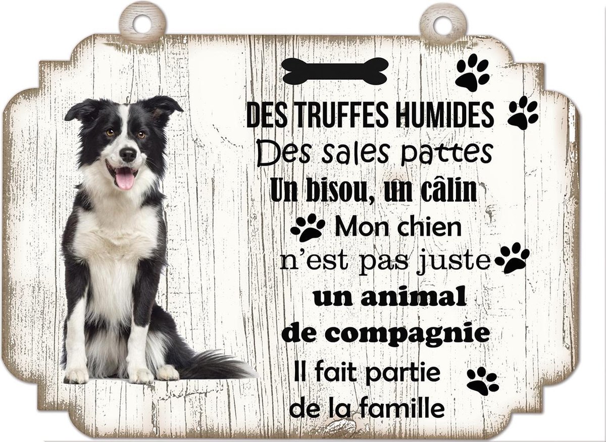 Tableau Déco - Border Collie