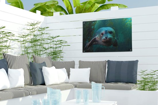 Décoration de jardin Seagrass - Water - Phoque - 60x40 cm - Affiche de jardin