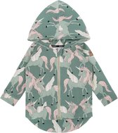Dear Sophie Vest Pegasus Groen Maat 110/116